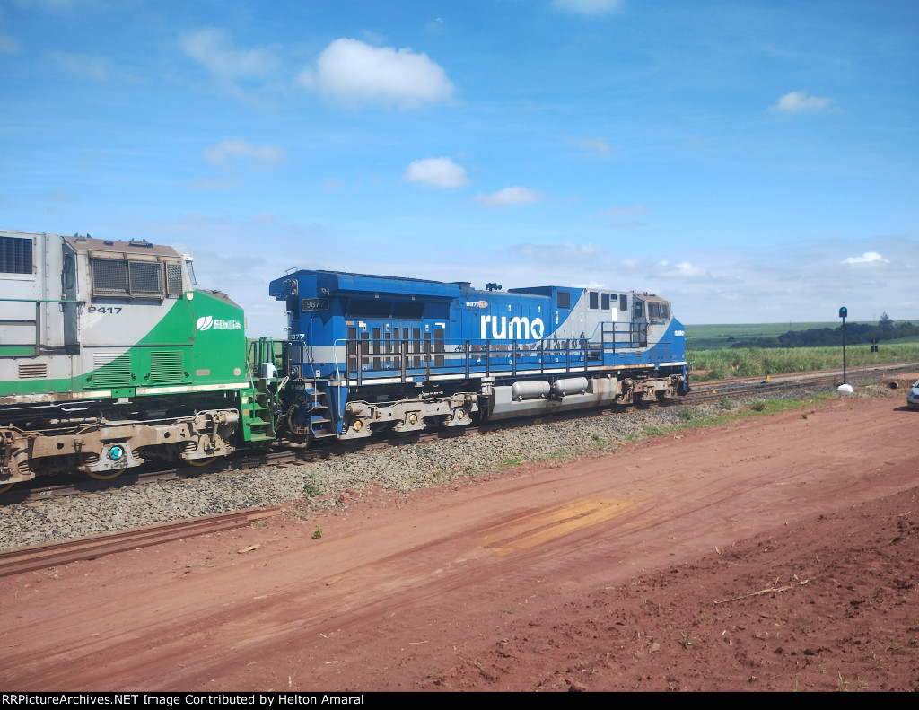 RUMO 9877